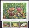 SOMALIA - FAUNA - SHELLS   - 1984 -  MNH** - Coneshells