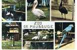 ZOO DE MAUBEUGE - Maubeuge