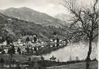 SVIZZERA. PANORAMA DI PONTE TRESA. CARTOLINA DEL 1950 - Ponte Tresa