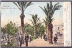 AK SPANIEN ALMERIA PASEO SE SAN LUIS PURGER &Co. Nr. 2462.OLD POSTCARD 1907 - Almería