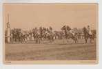 Horse Raiding. - Hippisme