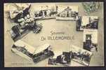 CPA  ANCIENNE- FRANCE- VILLEMOMBLE (93)- CPA SOUVENIR- DÉCOR DE FLEURS ET VUES MULTIPLES AVEC ANIMATION- - Villemomble