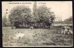 CPA  ANCIENNE- FRANCE- VILLEPINTE (93)- LA PRAIRIE DEVANT LE CHATEAU- VACHES BROUTANT- GARDIENNE AVEC SON CHIEN- - Villepinte