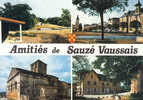 Carte Postale 79. Sauze -Vaussais  Trés Beau Plan - Sauze Vaussais