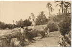 Tres Belle Carte Photo Enfants Dans Un Jardin Photo Prouho - Niños