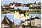 LE MERLERAULT  ( Orne )  Vues.... Multi-Vues.... - Le Merlerault