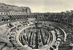 16955   Italia,   Roma,  Interno  Colosseo,  NV - Colosseum