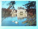 V6-44-loire Atlantique-missillac-le Chateau De La Bretesche-cygnes - Missillac