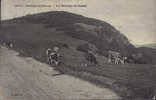 France-Postcard 1910-  Ballon D'Alsace- Pastures Of Sommet - Farms