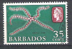 Barbade N°  YVERT 253 OBLITERE - Barbados (1966-...)