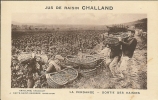 21 - (NUITS-ST-GEORGES) - Jus De Raisin De Challand - La Vendange - Sortie Des Raisins - Nuits Saint Georges