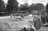 VIRE - LE CHAMP DE FOIRE - SUPERBE CARTE PRECURSEUR TRES TRES ANIMEE AVEC LES MARCHANDS DE PORCS - TOP !!! - Ferias