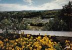 Carte Postale 29. Chateauneuf-du-Faou  Trés Beau Plan - Châteauneuf-du-Faou