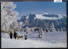 Crans-Montana ; La Promenade Sur Le Golf ; Grand Format (5494) - Crans-Montana