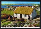 RB 736 - Postcard - Thatched Cottage Connemara County Galway Ireland Eire - Galway
