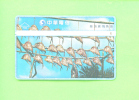 TAIWAN - Optical Phonecard As Scan - Taiwan (Formosa)