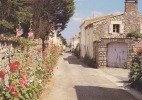 Talmont,Vendée,Talmont Saint Hilaire,rue Fleurie De Roses Trèmières,Sables D´Olonne,édit. Marcou,rare - Talmont Saint Hilaire