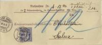 NN-Streifband  "Kantons-Amtsblatt"  Chur - Salux       1896 - Lettres & Documents