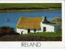 CPM        IRLANDE           IRISH COTTAGE      CHAUMIERE IRLANDAISE - Andere & Zonder Classificatie