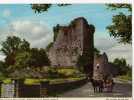 CPM        IRLANDE          KILLARNEY       ROSS CASTLE     CALECHE AVEC CHEVAL - Kerry