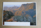 Carte Postale :  Big Bend National Park, Texas (bande Postale Au Recto) - Other & Unclassified