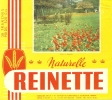 Buvard - REINETTE "  Tulipes à Bagnolet - Biscotti