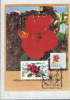 Romania-Maximum Postcard 2000- Chinese Rose(hibiscus Rosa) - Rosen