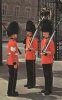 16979   Regno  Unito,   London,   Sentries  At  Buckingham Palace,  NV  (scritta) - Buckingham Palace