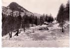 Serre-Chevalier - Sur La Piste Du Vallon - Serre Chevalier