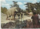 POSTCARD ELEPHANTS - FRANCE - LYON - LE PARC DE LA TETE D´OR-LE TRUPEAU D´ ELEPHANT - NEW / PAS USAGE/ NUOVA - Elefanten