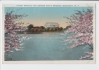 LINCOLN MEMORIAL AND JAPANESE CHERRY BLOSSOMS , WASHINGTON D.C. . Old PC . USA - Washington DC
