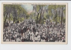 MID WINTER BAND CONCERT CROWD IN CITY PARK , ST. PETERSBURG , FLA . Old PC . USA - St Petersburg