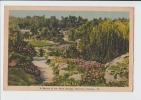 A SECTION OF THE ROCK GARDEN , HAMILTON . Old PC . CANADA - Hamilton