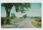 A ROAD LEADING TO A VILLAGE . Old PC . USA - American Roadside