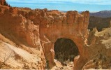 16989   Stati  Uniti,    Utah,  Bryce  Canyon National  Park,  Natural  Bridge,  NV - Bryce Canyon