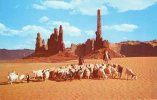 16992   Stati  Uniti,    Utah,   Monument  Valley,   Navajo  Women  Taking Their  Sheep  To  Water,  NV - Monument Valley