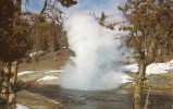 16994   Stati  Uniti,  Wyoming,  Riverside  Geyser,   Yellowstone  National  Park,  NV - Yellowstone