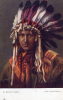 INDIEN D'AMERIQUE DU NORD Type De Guerrier Indien - Native Americans