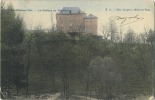 Neufchateau - Visé :  Le Chateau De Wodémont    ( Ecrit 1907 Avec Timbre ) - Neufchateau