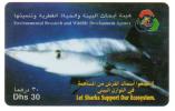 Télécarte Téléphone UAE Emirats Arabes Unis - Squale Requin Shark - Emirats Arabes Unis