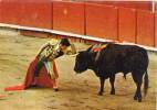 TOROS - Antonio Lomelin - Desplante - Scene De Corrida   (26210) - Bull