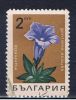 BG+ Bulgarien 1968 Mi 1792 Enzian - Used Stamps