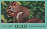 GREETINGS FROM OHIO - "THE BUCKEYE STATE" - Petit Format, Neuve, 2 Scans - Other & Unclassified