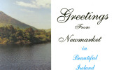 Greetings From Newmarket In Beautiful IRELAND - Petit Format, 2 Scans - Other & Unclassified