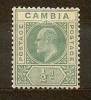 GAMBIA  Colonie Inglesi   British Colonies  -  1905 - N. 40/* - Gambia (...-1964)