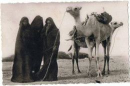 Mauritanie     Femmes Maures    La Corvée Du Bois - Afrika