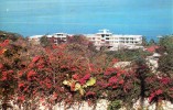 17186   Giamaica,  Montego  Bay,  Overlooking  Montego  Beach  Hotel,  VG - Giamaica