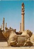 Persepolis-shiraz-iran-cp M - Iran