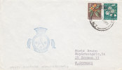 Philatélie Polaire - Nouvelle Zélande - Lettre De 1965 - Fleurs - Pinguins - Lettres & Documents