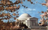 17211   Stati Uniti,   Washington  D.C.,    The  Jefferson  Memorial  At  Cherry  Blossom  Time,  NV - Washington DC